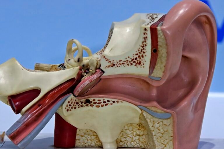 Atchim! Médicos explicam por que você não deve segurar o espirro