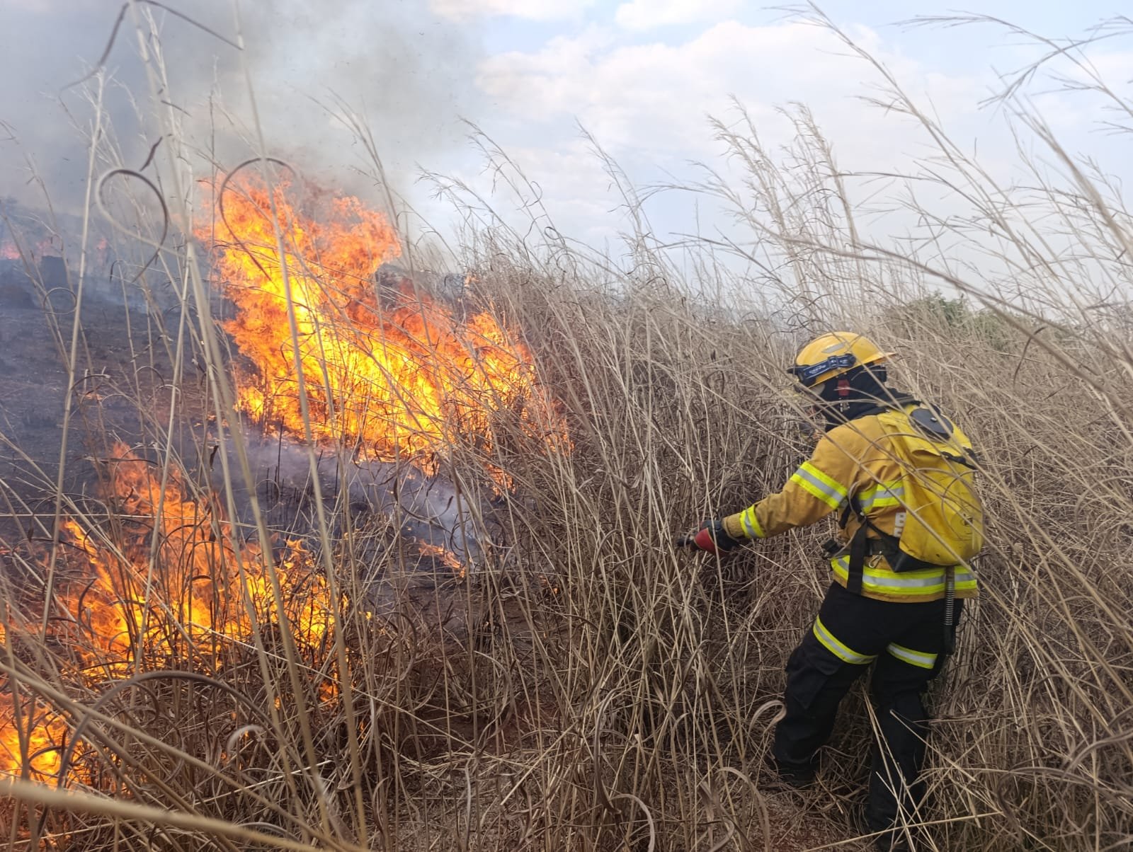 Fazenda Água Limpa recebe treinamento em incêndios florestais