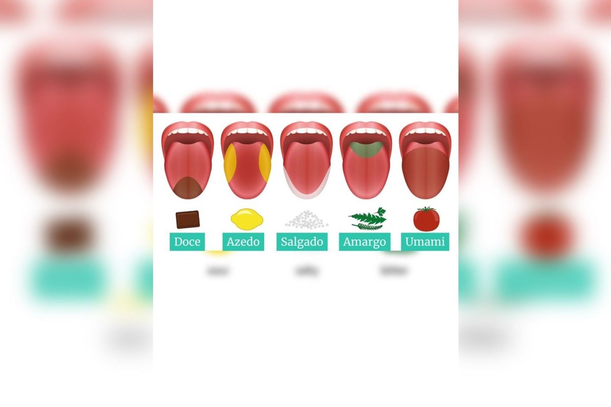 Fruta do milagre: conheça o fruto que transforma sabor azedo em doce