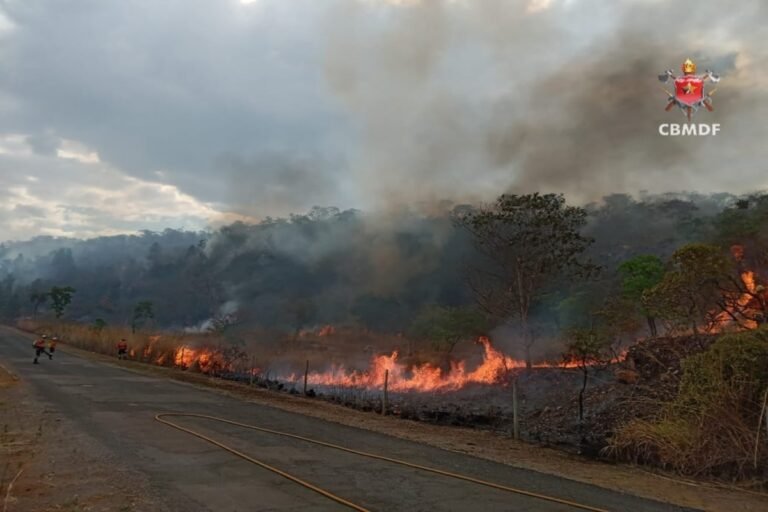 Incêndio atinge 141 hectares de vegetação no DF neste domingo (21/9)