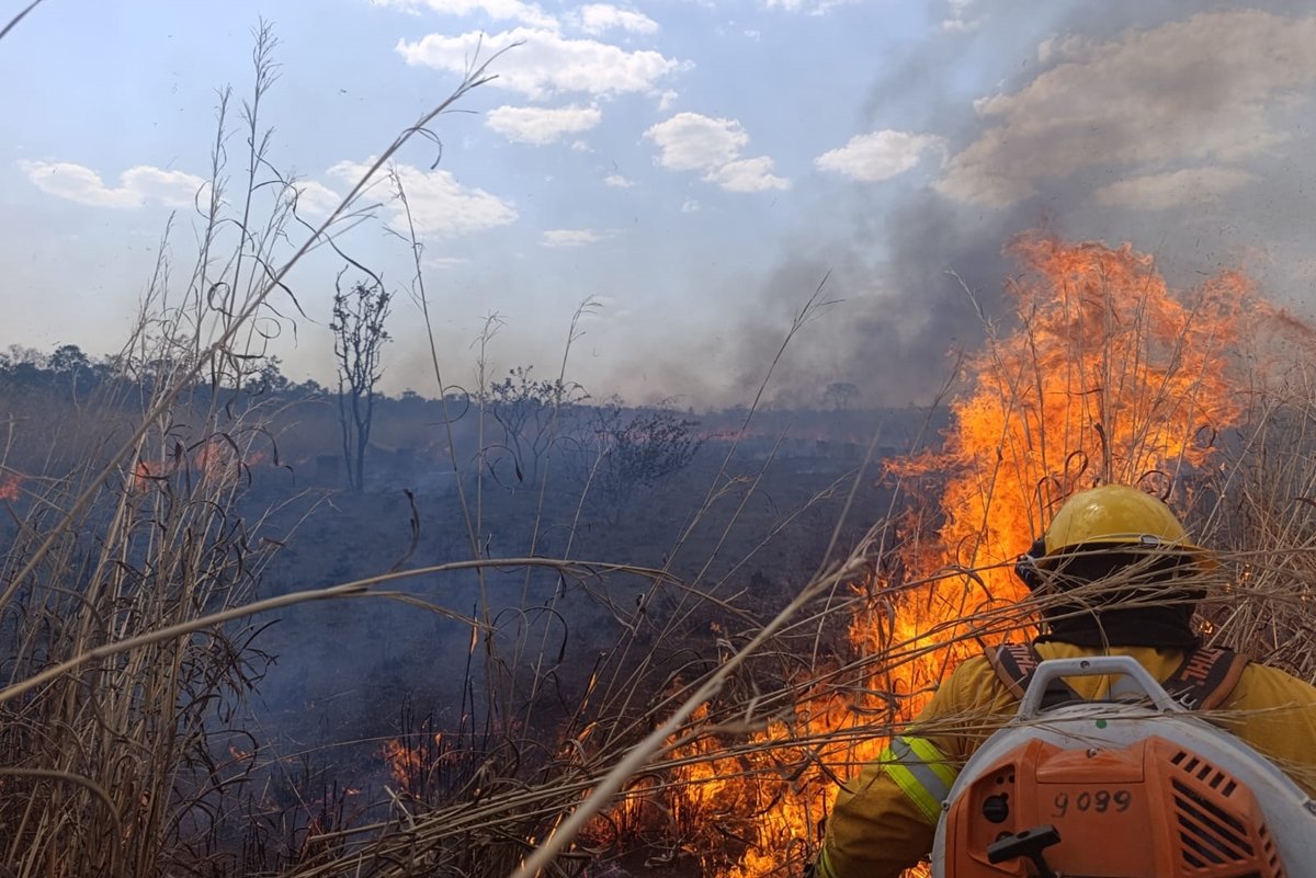 Mapa do fogo: área queimada este ano no DF equivale à de 13 cidades juntas