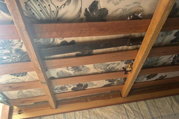 Mulher trans foi jogada da cama e espancada na “clínica do horror”