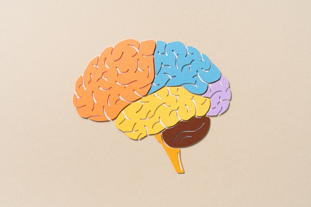 Amnésia infantil: entenda por que não lembramos da primeira infância