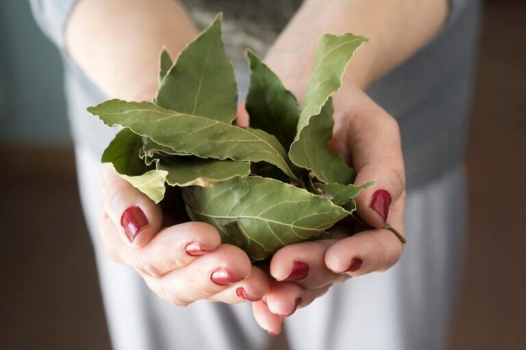 Chá anti-inflamatório ajuda a emagrecer e alivia sintoma respiratório