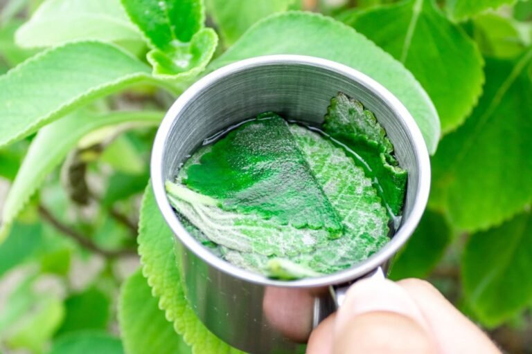 Chá anti-inflamatório auxilia na saúde do fígado e melhora a digestão