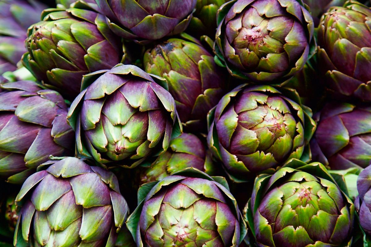 Chá de alcachofra: como bebida antioxidante melhora a saúde do fígado