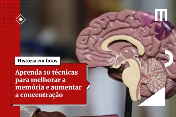 Consumo de fast-food afeta a memória em poucos dias, indica estudo
