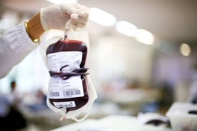 Entenda como funciona a mudança de tipo sanguíneo de órgãos