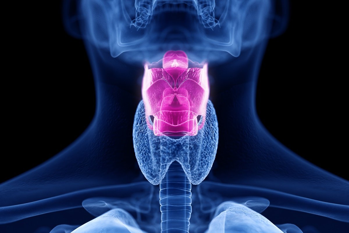 Entenda por que não existem duas pessoas com a mesma voz