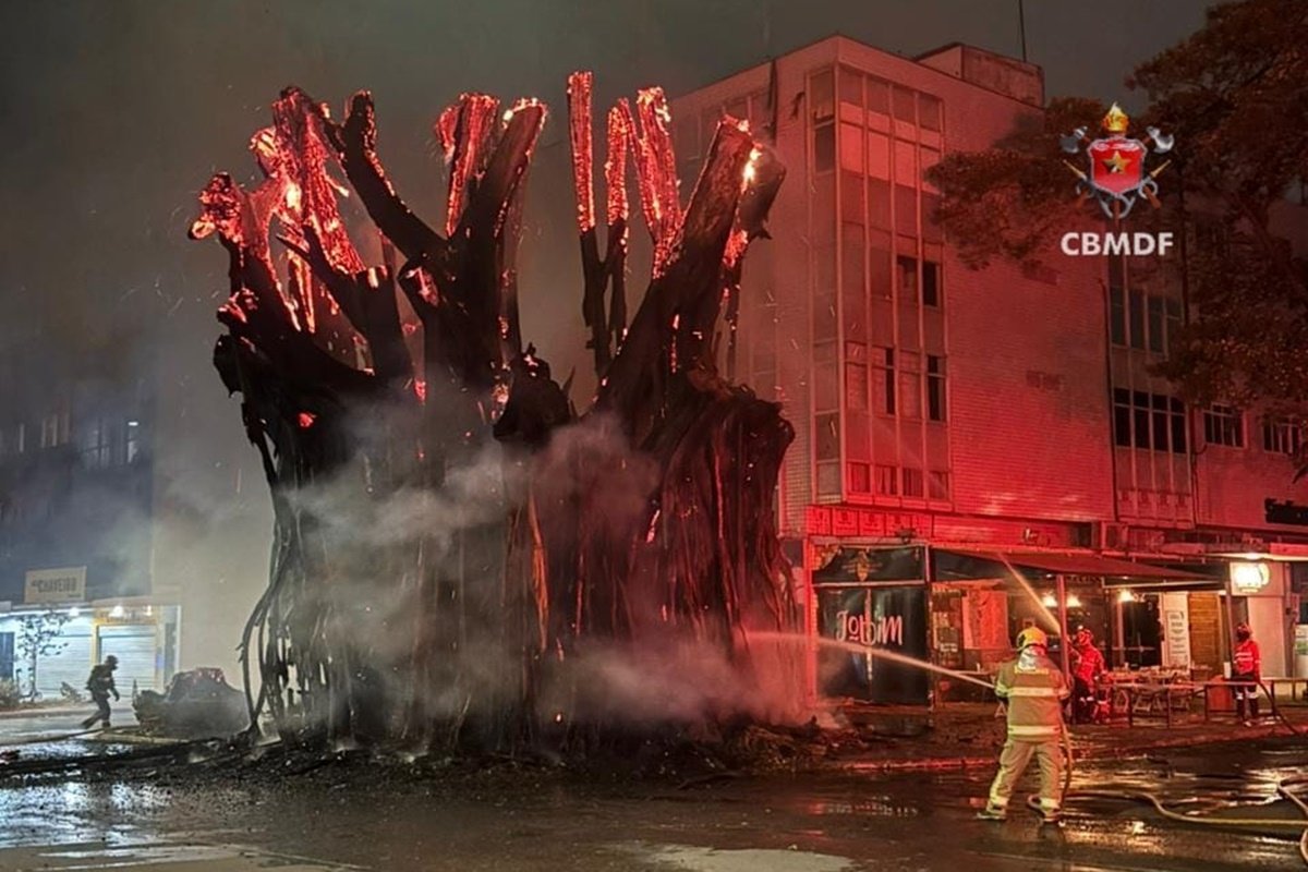 Gameleira de 40 anos da Asa Norte é removida após incêndio criminoso