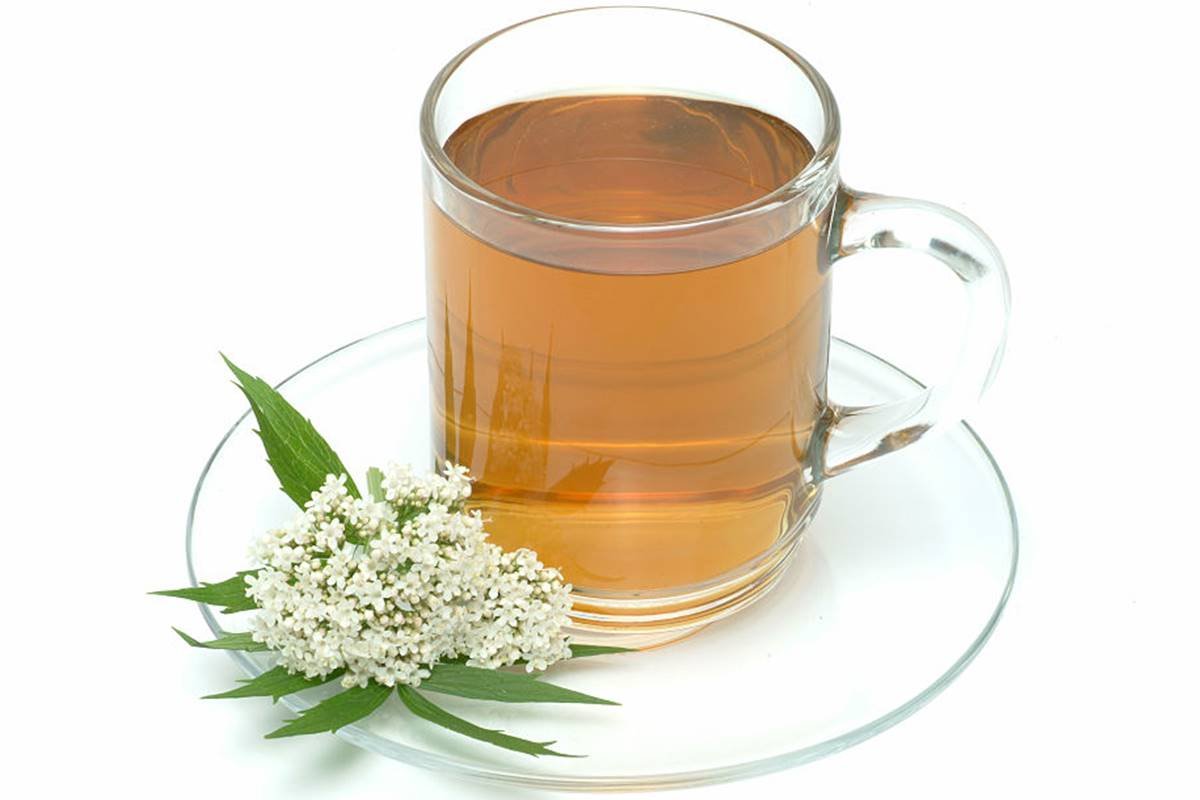 Nutris indicam chá para tomar antes de dormir que ajuda a relaxar