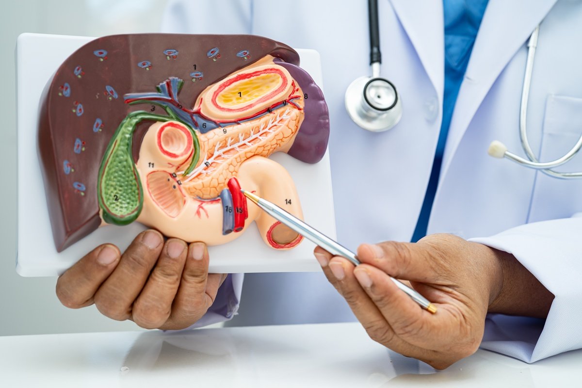 O que o fígado realmente precisa para funcionar de forma saudável