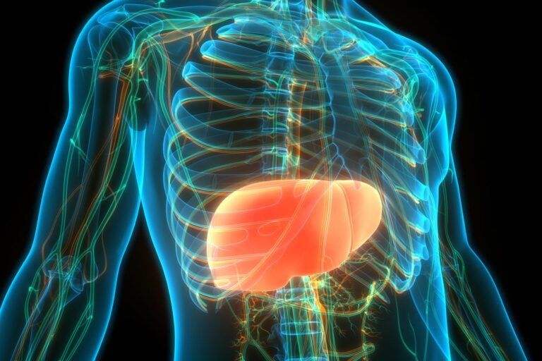 Pressão alta é o fator mais mortal para pessoas com gordura no fígado