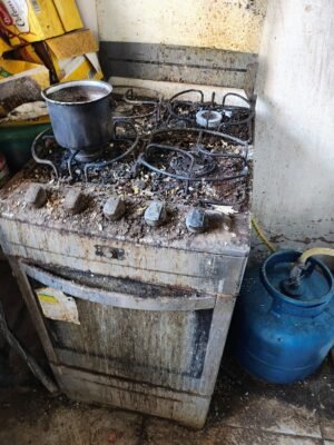 Vídeo: filho mantinha mãe idosa em condições insalubres há 15 anos