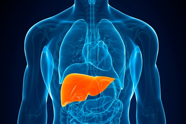 o que é a gordura no fígado e quais os riscos