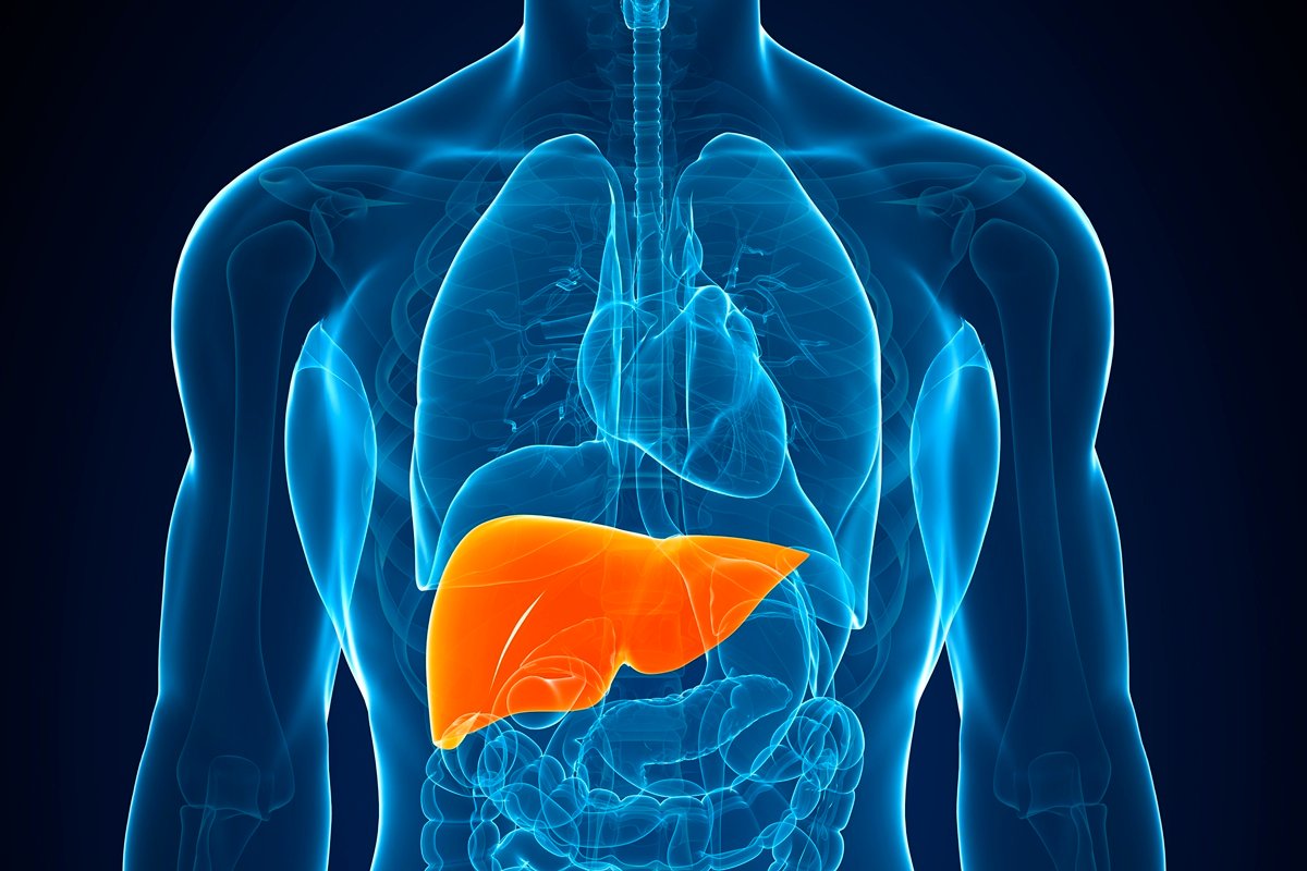 o que é a gordura no fígado e quais os riscos