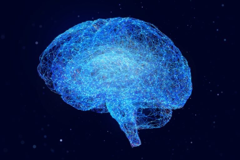 Colesterol tem papel decisivo na saúde cerebral, mostram estudos