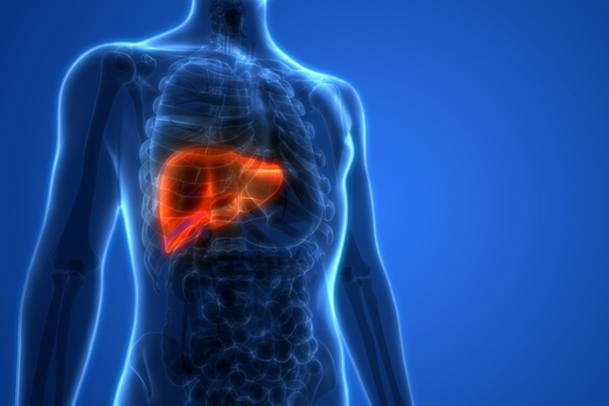 Confira uma lista de hábitos simples para tratar a gordura no fígado