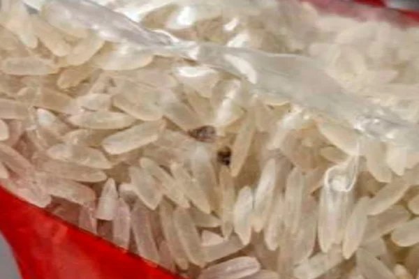 Fotos mostram arroz com insetos e larvas em escolas do DF. Veja