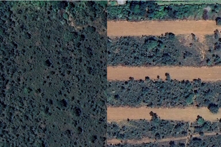 Fotos tiradas com diferença de 1 ano mostram poder da grilagem no DF