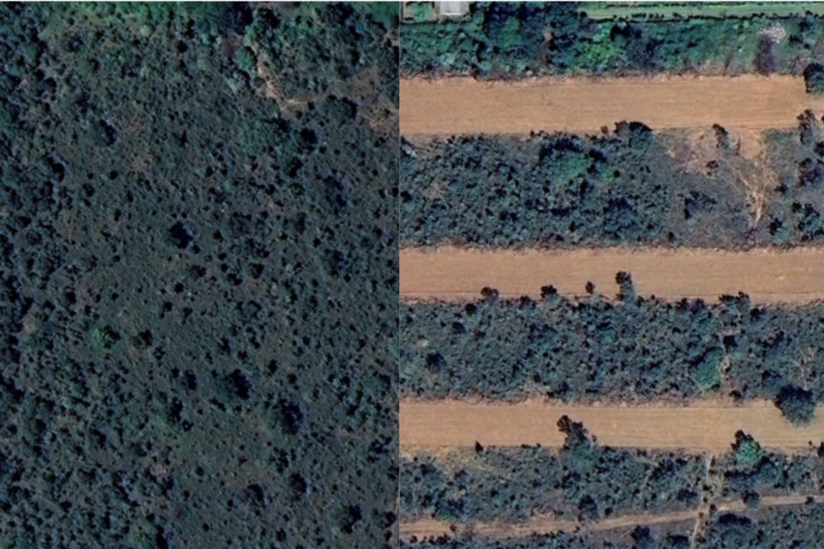 Fotos tiradas com diferença de 1 ano mostram poder da grilagem no DF