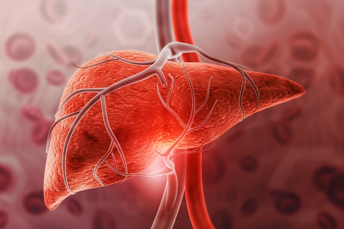 Veja em quanto tempo é possível reverter a gordura no fígado
