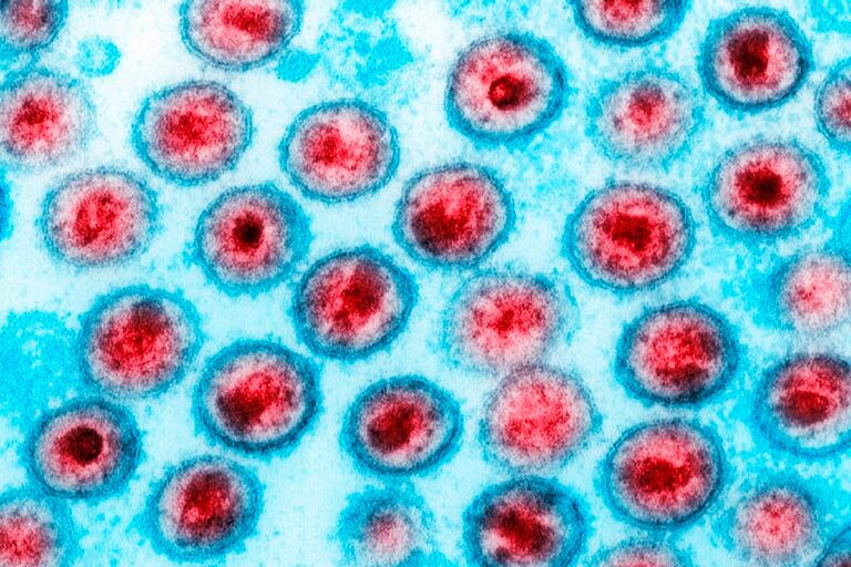 OMS parabeniza Brasil por fim da transmissão vertical do HIV