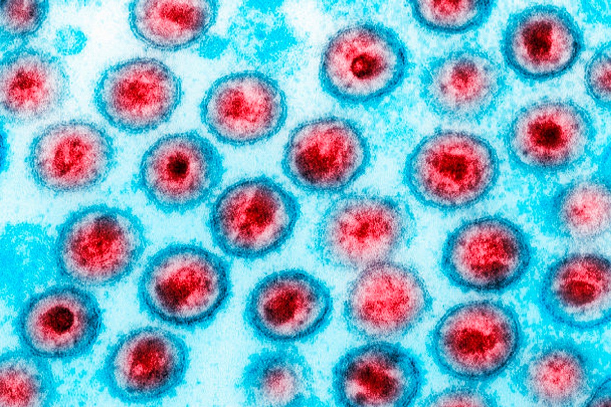 OMS parabeniza Brasil por fim da transmissão vertical do HIV