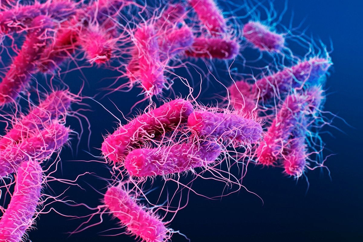 Conheça doença rara que deixa pessoas bêbadas mesmo sem ingerir álcool