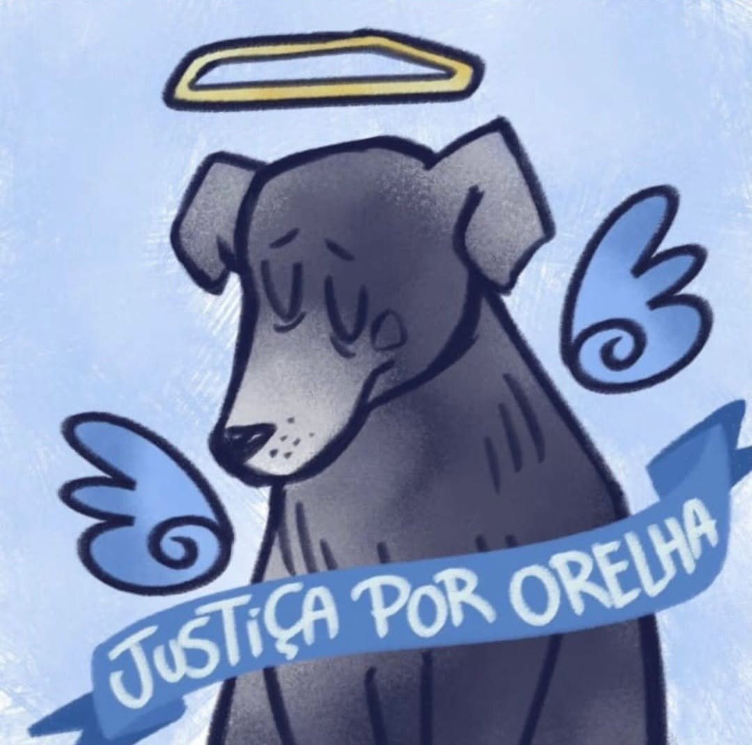 SaveClip.App_622683740_18103217608881384_1731159958936716607_n