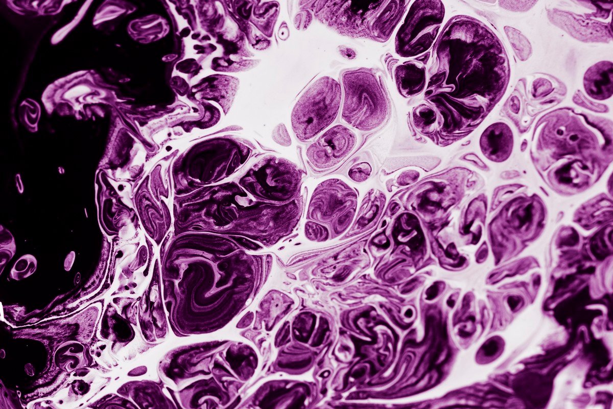 conheça o fungo que causou surto com morte nos EUA