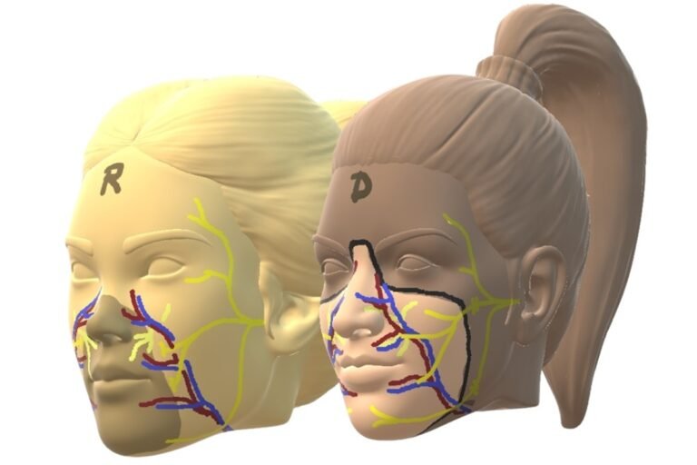 1º transplante de rosto do mundo usa doadora que optou por eutanásia
