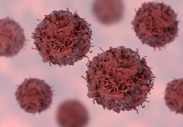 40% dos casos de câncer poderiam ser evitados, afirma relatório da OMS