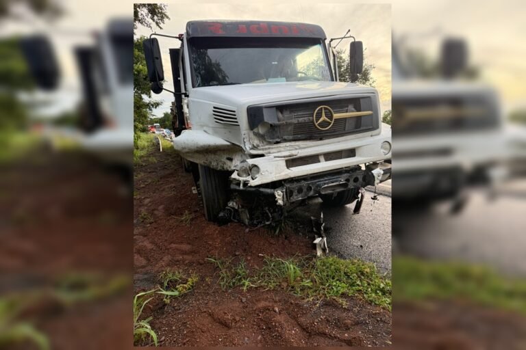 Acidente entre caminhão e carro na BR-020 deixa 2 mortos em Goiás