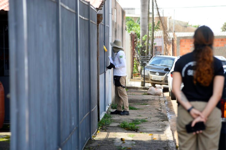Chuvas acendem alerta para dengue no DF e reforçam ações de combate ao Aedes aegypti
