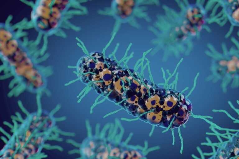 Cientistas testam bactéria do solo que pode "comer” células do câncer