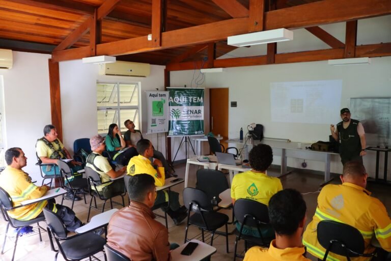 DF amplia capacitação de brigadistas para reforçar combate a incêndios florestais