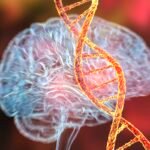 Estudo descobre base genética comum entre 14 transtornos mentais