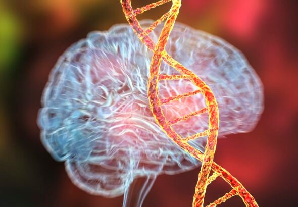 Estudo descobre base genética comum entre 14 transtornos mentais