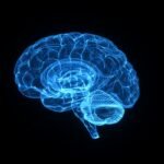 Estudo liga menopausa a mudanças no cérebro, memória e saúde mental