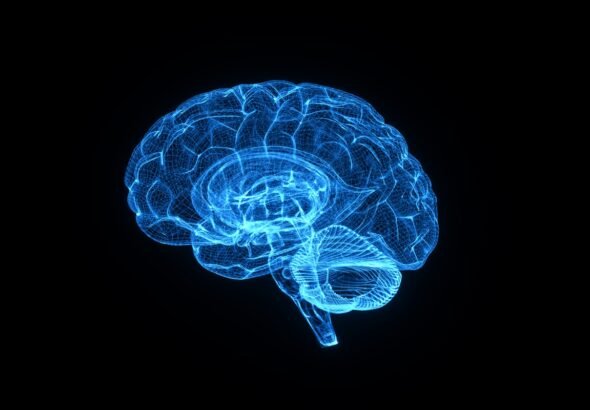 Estudo liga menopausa a mudanças no cérebro, memória e saúde mental