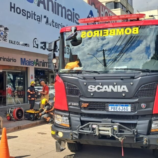 Incêndio atinge clínica veterinária e mobiliza operação de resgate
