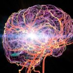 Médico conta como aumentar naturalmente os níveis de dopamina