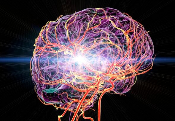 Médico conta como aumentar naturalmente os níveis de dopamina