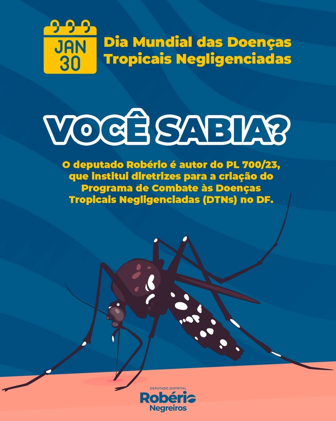 SaveClip.App_624051911_18558802279043281_4002513020388711154_n