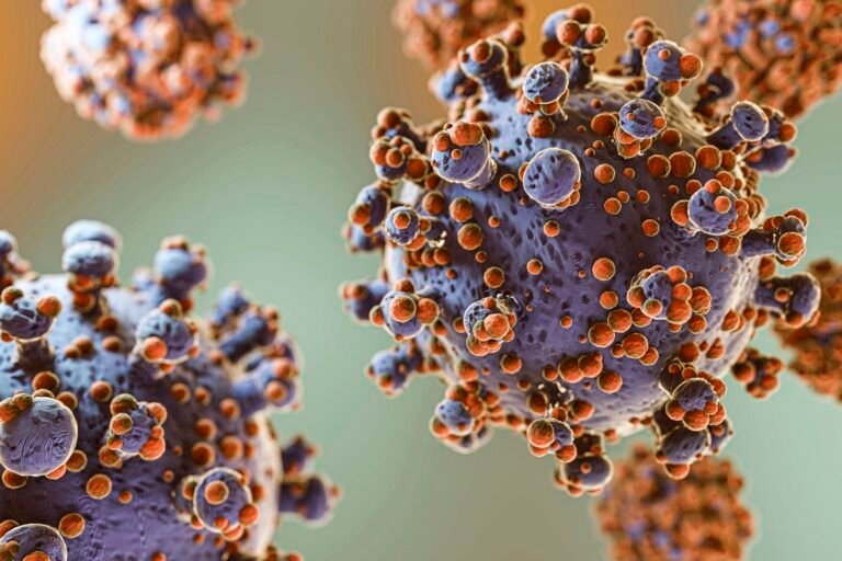 Vírus do resfriado se esconde e se replica mesmo sem causar sintomas