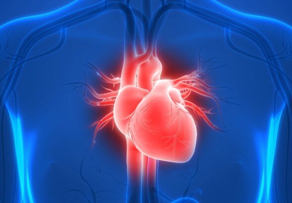 Cardiologista explica como reduzir o risco de arritmias na menopausa