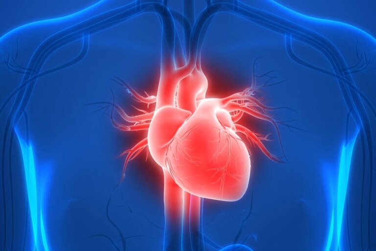 Cardiologista explica como reduzir o risco de arritmias na menopausa