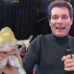 Celso Portiolli corre atrás de perereca ao vivo no SBT. Veja vídeo