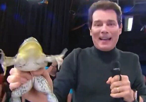 Celso Portiolli corre atrás de perereca ao vivo no SBT. Veja vídeo